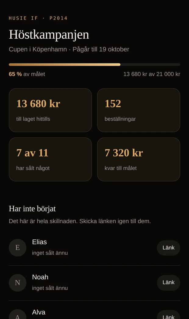 Lagledarens vy i Alleria